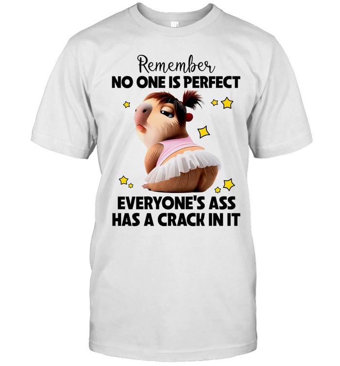 Capybara remember no one is perfect everyone’s ass has a crack in it Unisex T-Shirt