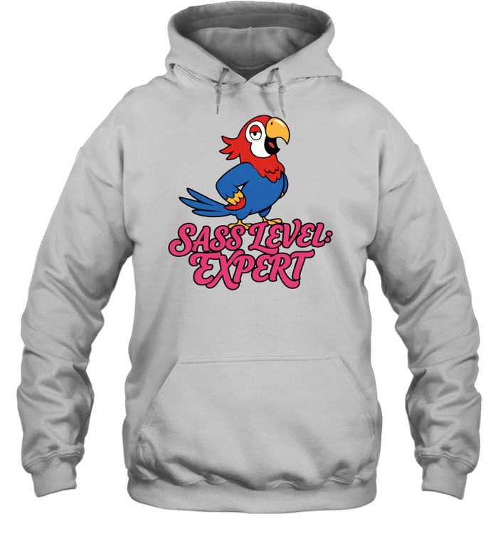 Sass Level expert Hoodie