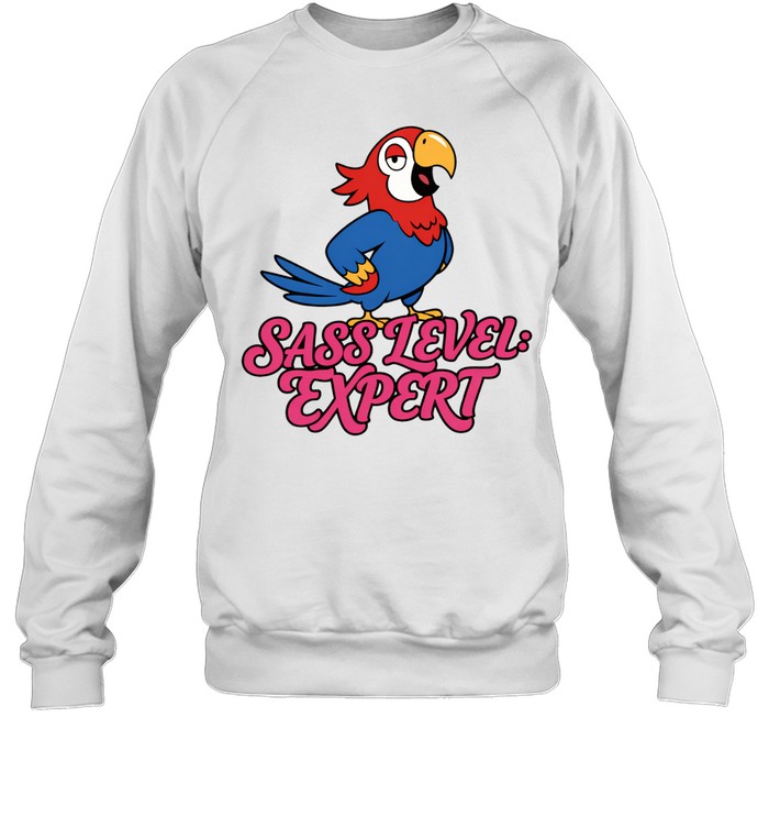 Sass Level expert Sweatshirt