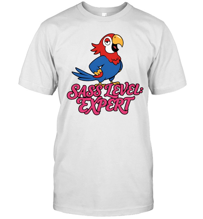 Sass Level expert Unisex T-Shirt