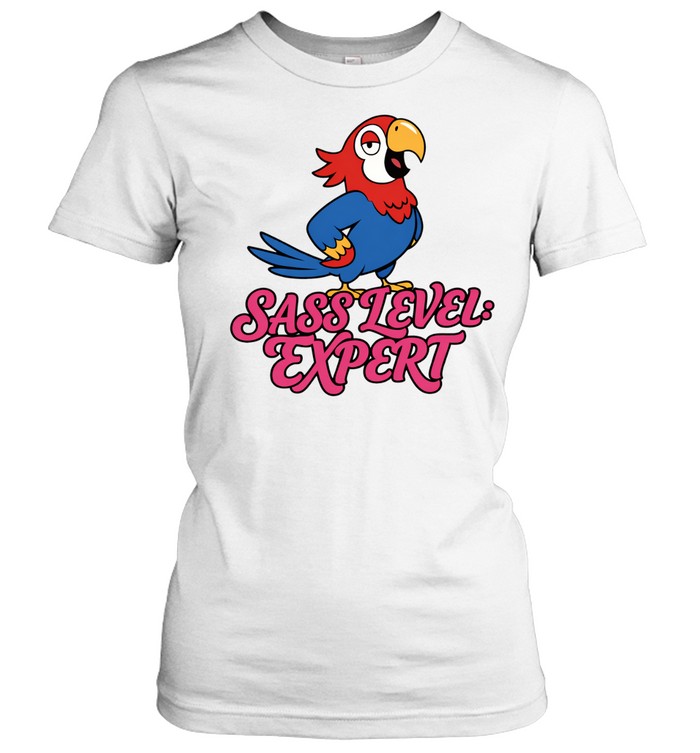 Sass Level expert Women T-Shirt
