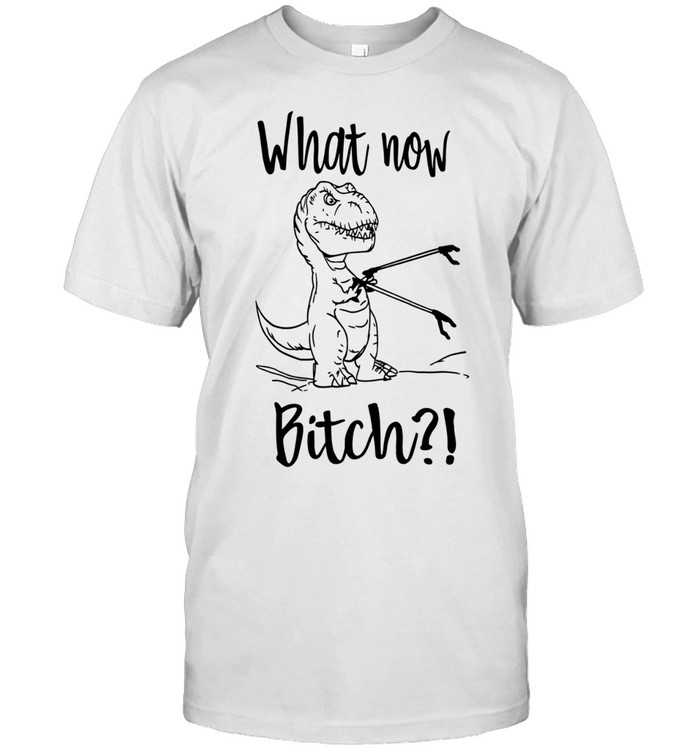 T-rex what now bitch Unisex T-Shirt