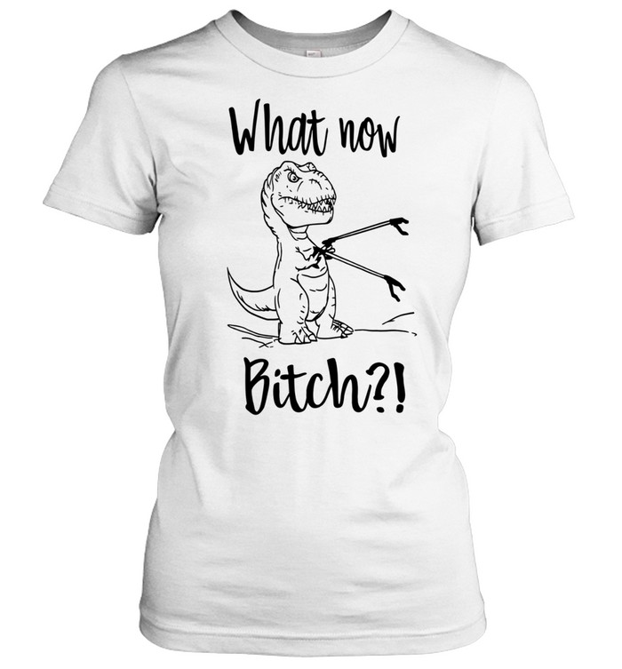 T-rex what now bitch Women T-Shirt