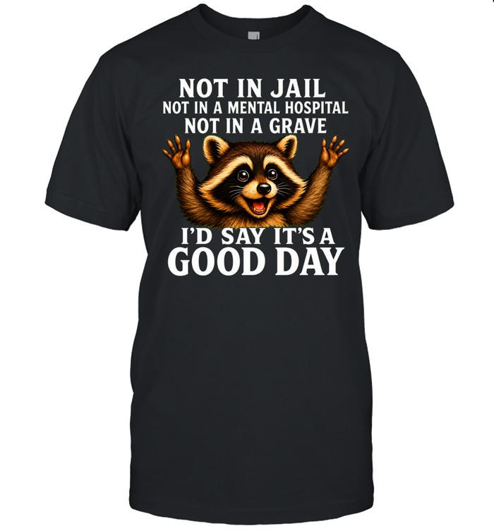 Not In Jail Not In A Mental Hospital Not In A Grave Unisex T-Shirt