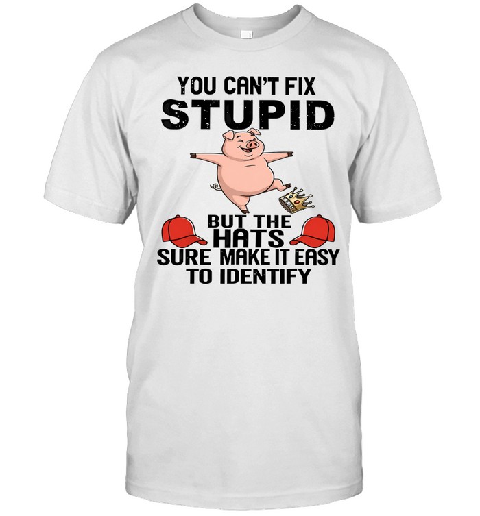 You Can’t Fix Stupid but the Hats Sure Make It Easy to Identify Unisex T-Shirt