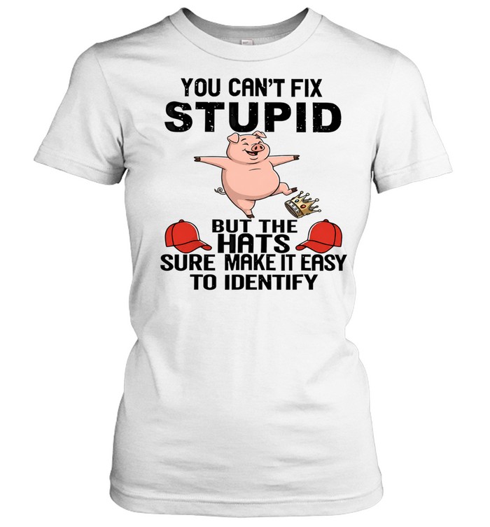 You Can’t Fix Stupid but the Hats Sure Make It Easy to Identify Women T-Shirt