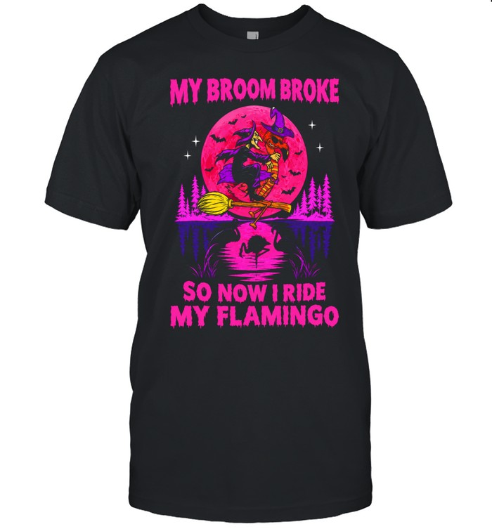 Witch and Flamingo My Broom Broke so now I ride My Flamingo Halloween Unisex T-Shirt
