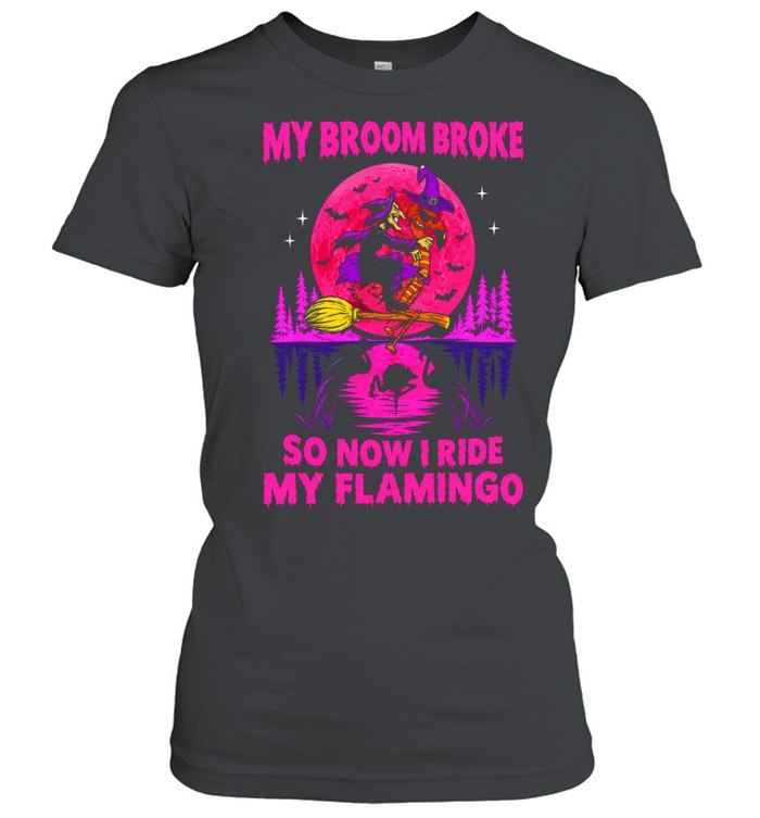 Witch and Flamingo My Broom Broke so now I ride My Flamingo Halloween Women T-Shirt
